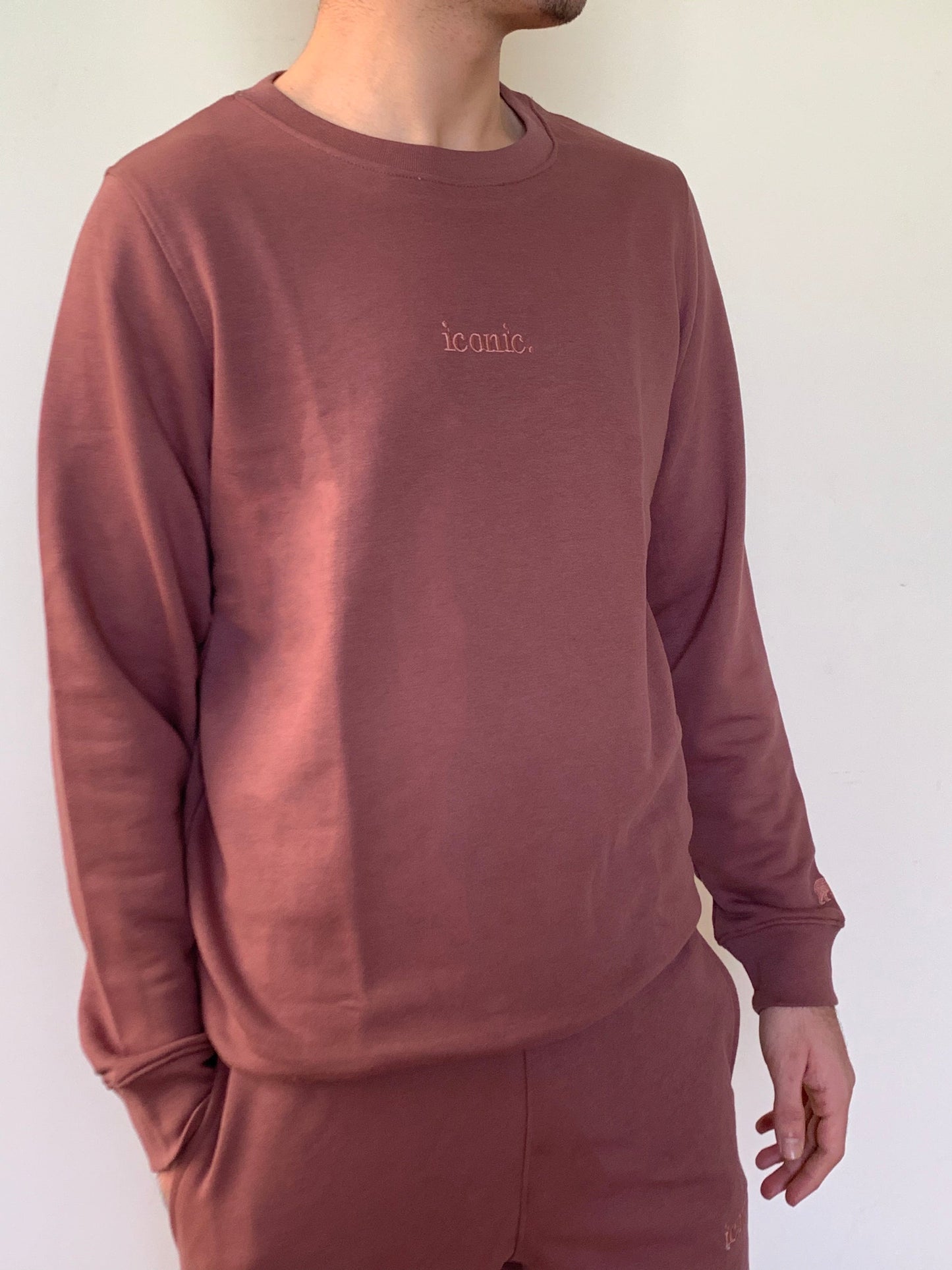 Cinnamon Brown Unisex Sweatshirt - MOOD (Iconic)